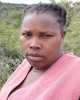 Peris295
